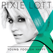 Young Foolish Happy cover