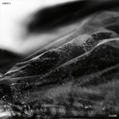 Groza – Daffodils