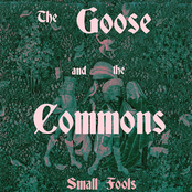 The Goose and the Commons