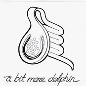a bit more Dolphin