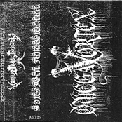 Paranormal Violence