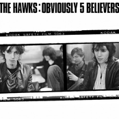 Obviously Five Believers