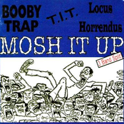 Mosh It Up