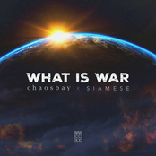 Chaosbay – What Is War
