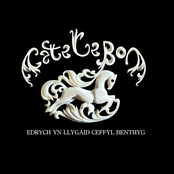 Edrych yn Llygaid Ceffyl Benthyg cover