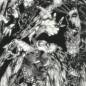 Songs of the Eternal Oak