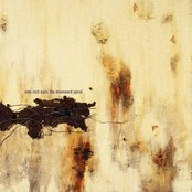 Album art for The Downward Spiral by Nine Inch Nails