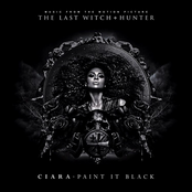 Paint It, Black cover