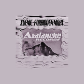 Forbidden Night