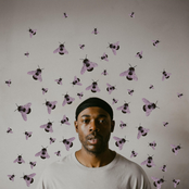 Whole Hive Mauve