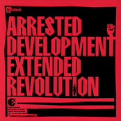 Extended Revolution