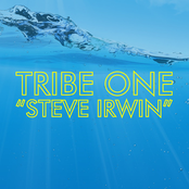 Steve Irwin