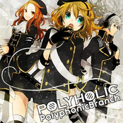 POLYHOLIC