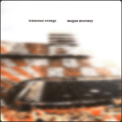 Tennessee Orange cover