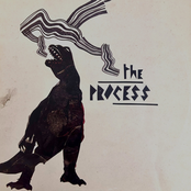 The Process