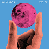 Say Yes Dog – Voyage