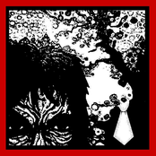 White Tie Black Noise