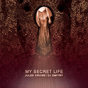 My Secret Life cover