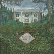 Diamond Grove