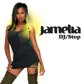Dj / Stop cover