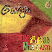 Reggae mexicano