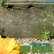 Odd Spring