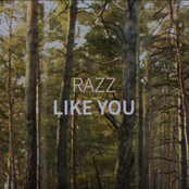 Razz – Like You