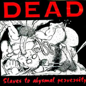 Slaves To Abysmal Perversity