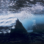 The Water In You
