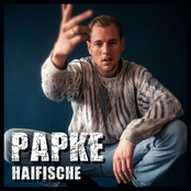 PAPKE – Haifische