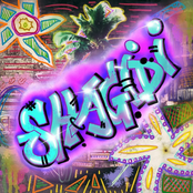 Shagidi