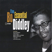 The Essential Bo Diddley