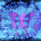 Switch Angel