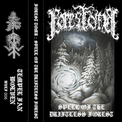 Spell of the Driftless Forest