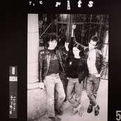 The Rats