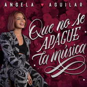 Que No Se Apague la Música cover