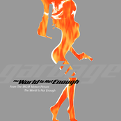 The World Is Not Enough cover