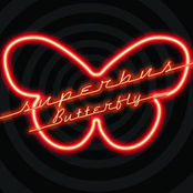 Butterfly cover