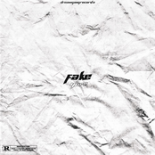 Fake