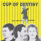 Cup Of Destiny cover