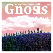 The Human Experience