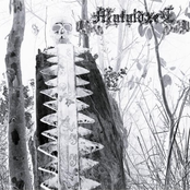 MutuldzeC
