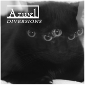 Diversions