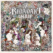 7 Bidadari