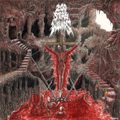 200 Stab Wounds – Masters of Morbidity
