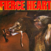 Fierce Heart