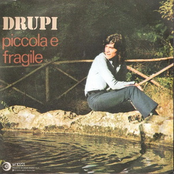 Piccola E Fragile