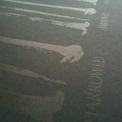 S/T DEMO