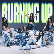 BURNING UP