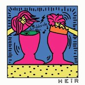 dumblonde x HEiR